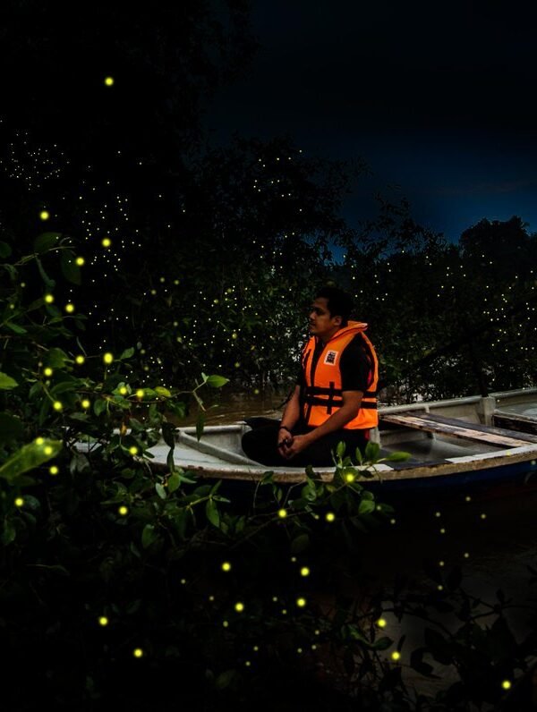 Fireflies