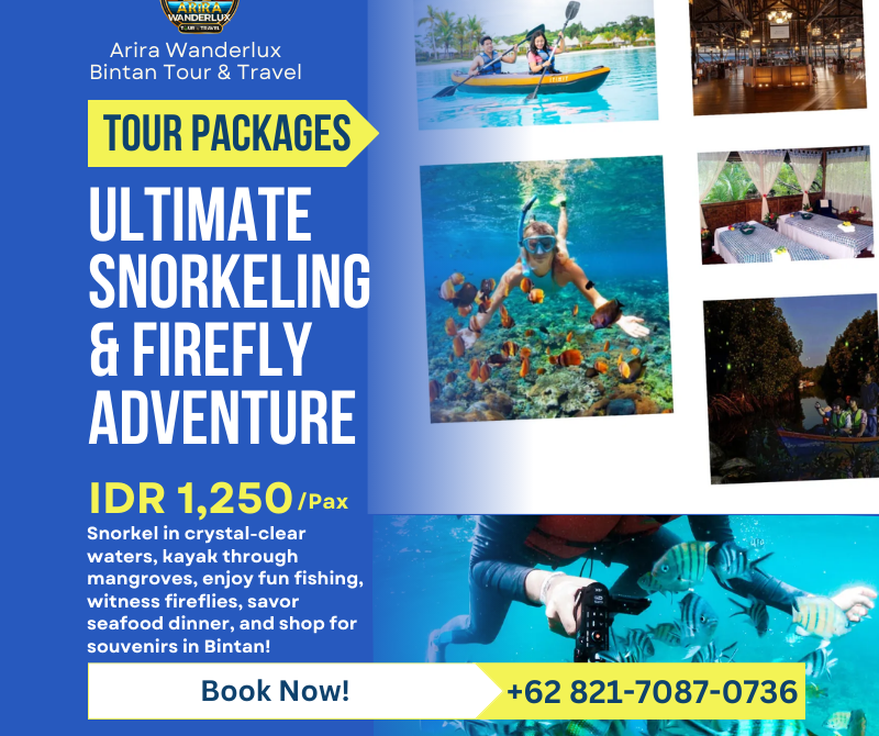 Ultimate Snorkeling & Firefly Adventure