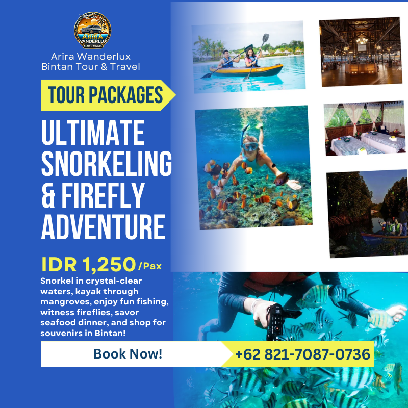 Ultimate Snorkeling & Firefly Adventure in Bintan