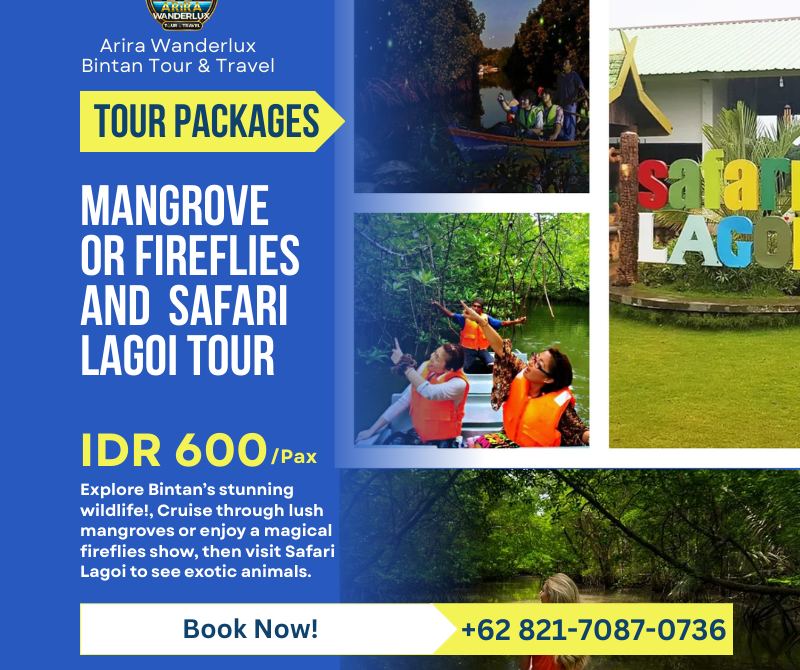 Safari Fireflies Nature Combo