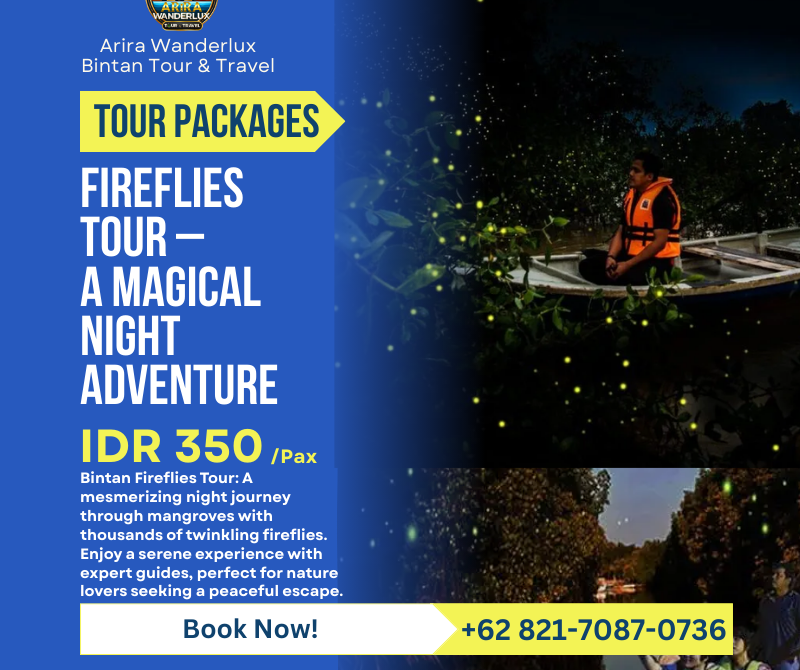Fireflies Magical Night Cruise
