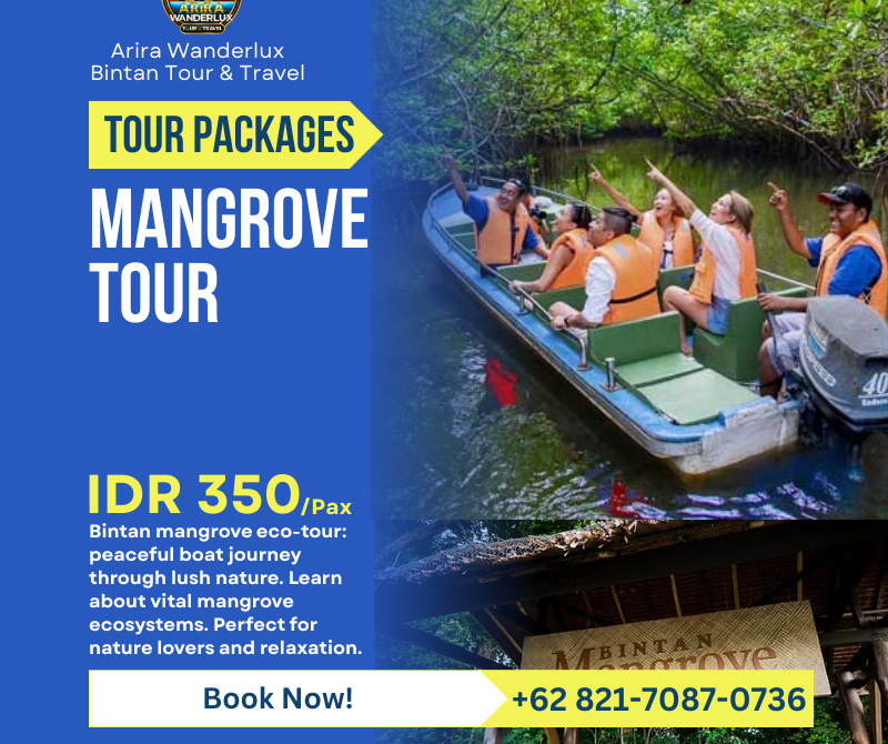 Bintan Mangrove River Tour
